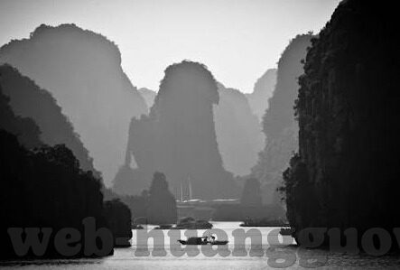 2022大象传媒视频-2022年大象传媒视频,创新与传承的双重奏鸣
